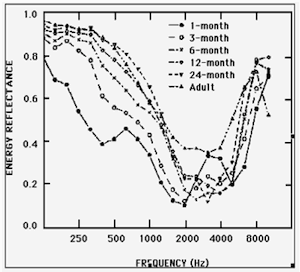 Figure 12 1-mo-to-adult