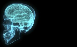 blue brain-001-1172516