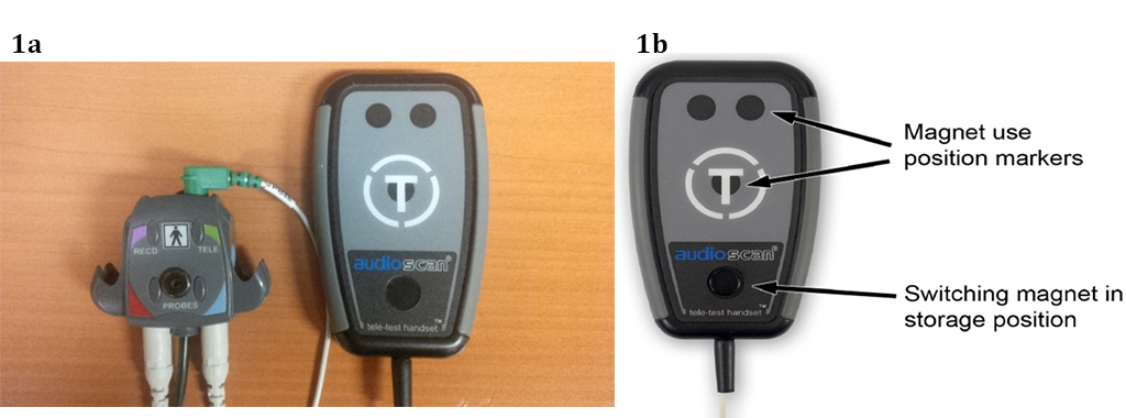 Figure 1a 1b